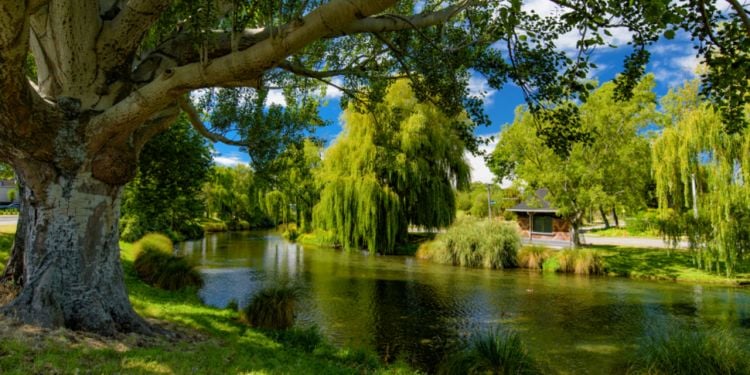 Travailler à Christchurch