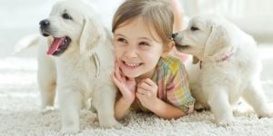 Voyager en Russie avec son animal de compagnie