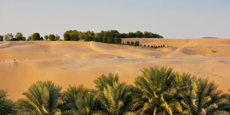 Nature and city activities in Abu Dhabi