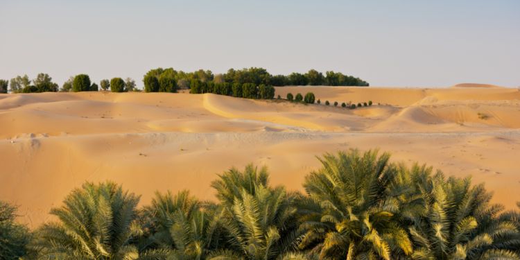 Nature and city activities in Abu Dhabi