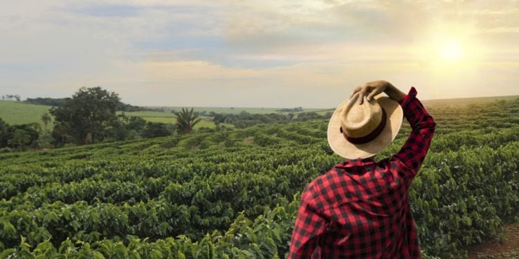 Finding work in Colombia