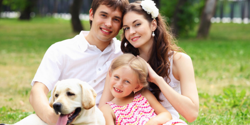 Traveling to Bulgaria with your pet