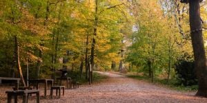 Accommodation in Dudelange