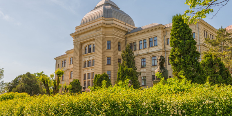 Study in Romania