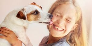 Moving to Panama with your pet