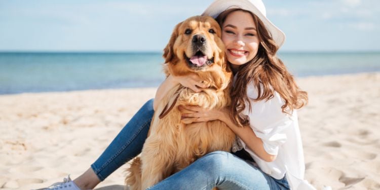 Voyager avec son animal de compagnie en République dominicaine