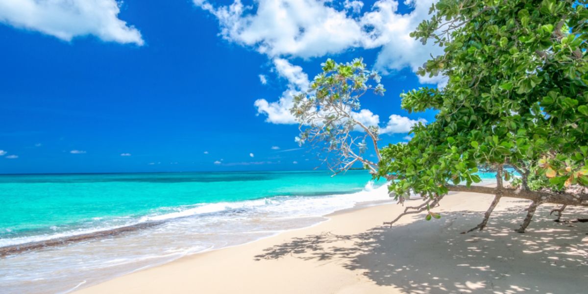 Work in Las Terrenas