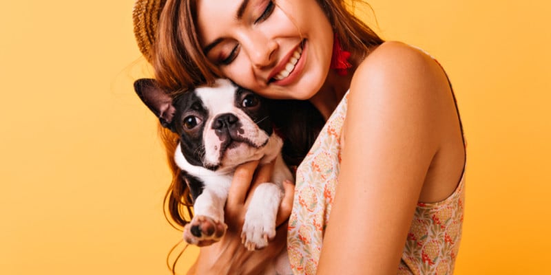 Moving to Chile with your pet