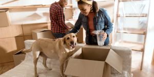 Travelling to Senegal with your pet