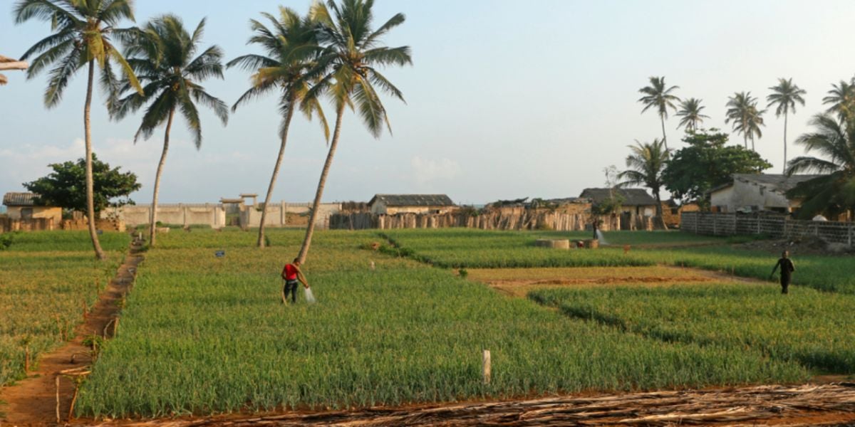 Communiquer au Bénin