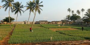 Communiquer au Bénin