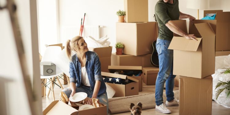 Moving with your pets to Peru