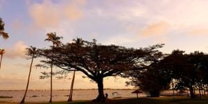 Formalités d'entrée en Côte d'Ivoire