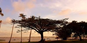 Traveling to Ivory Coast