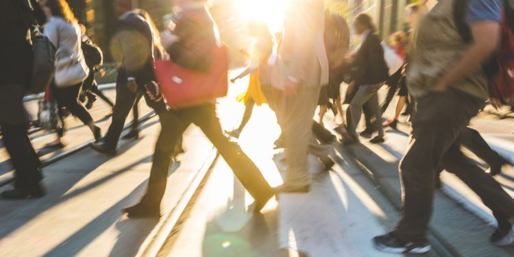 Le marché du travail torontois