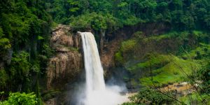 Accommodation in Cameroon