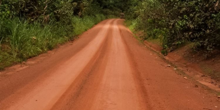 Driving in Cameroon