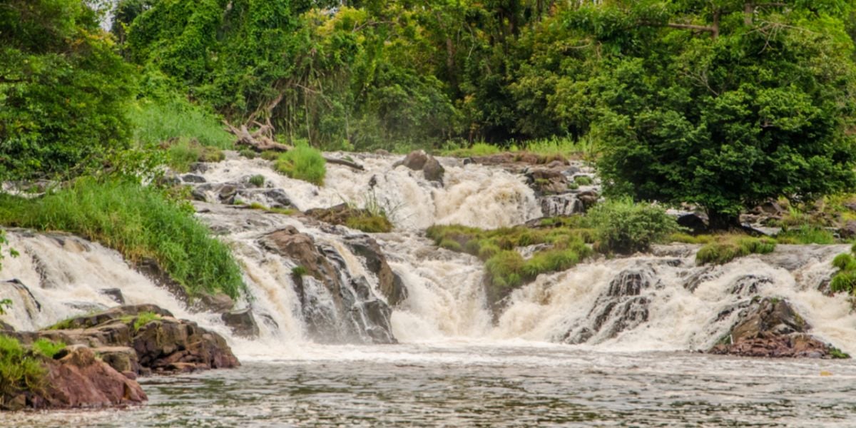 Créer une entreprise au Cameroun