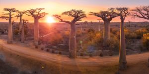 Formalités d'entrée à Madagascar