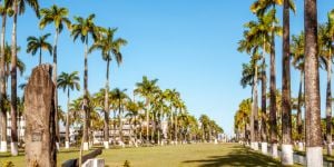 Travailler à Tamatave