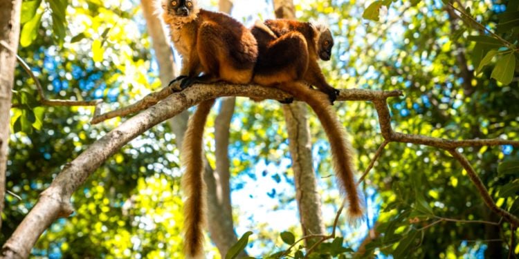 Le mode de vie à Madagascar