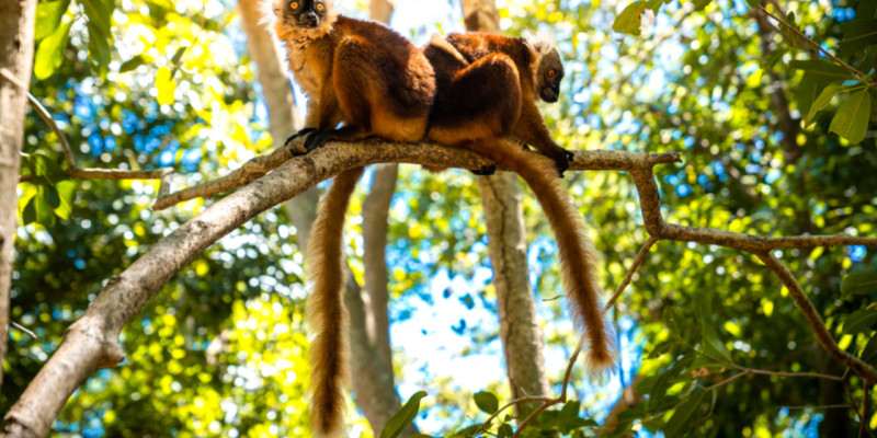 Le mode de vie à Madagascar