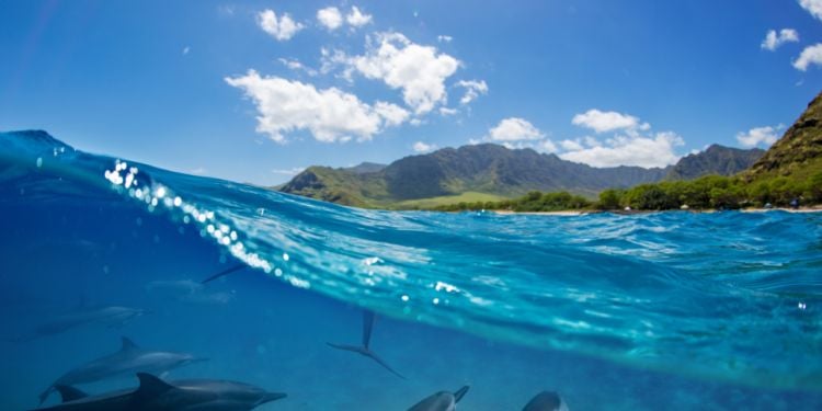 Loisirs à La Reunion