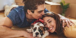 Voyager avec un animal de compagnie à La Réunion