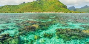 Le transport en Polynésie française