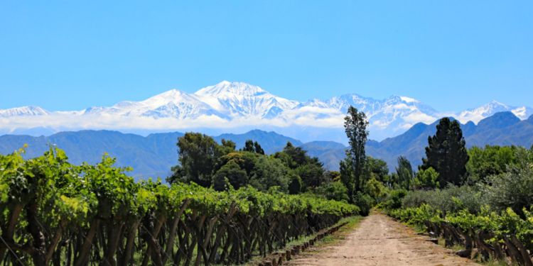 Se loger à Mendoza