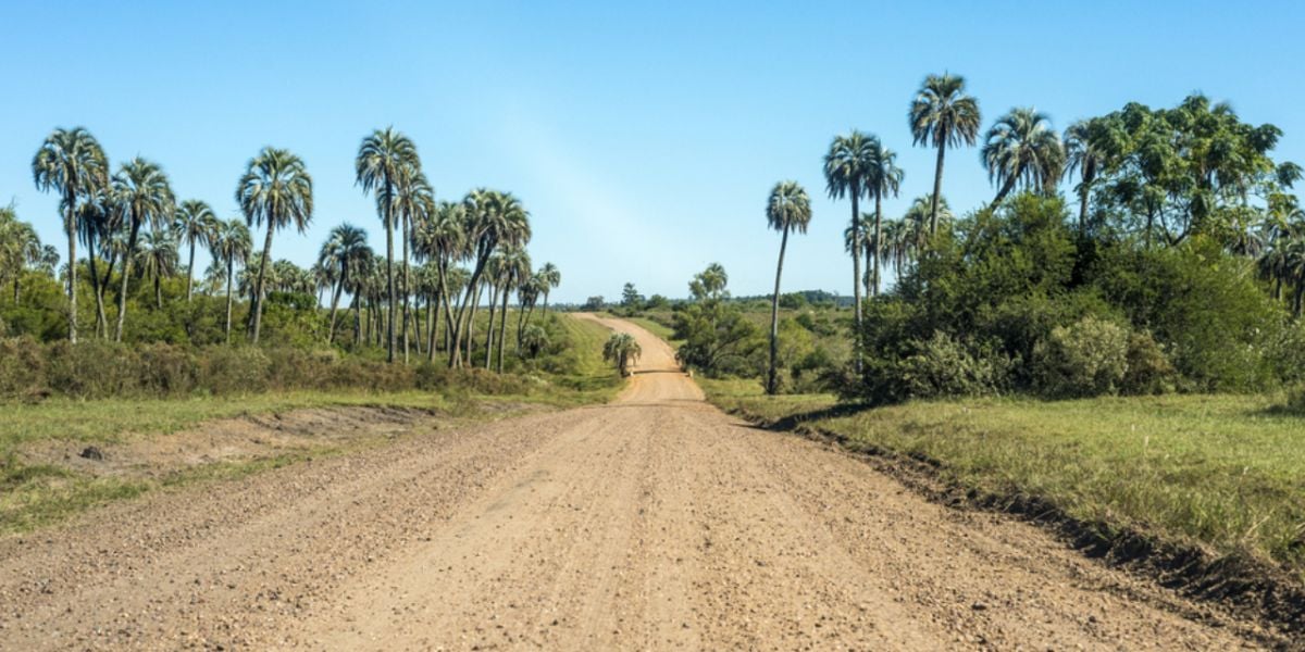 Find a job in Concordia