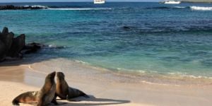 Mode de vie équatorien : « Ama la vida »