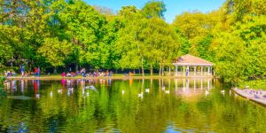 Profiter de la nature et du plein air à Dublin