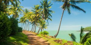 Loisirs et activités en Guyane