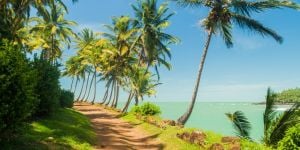 Loisirs et activités en Guyane