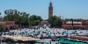 Developing a professional network in Marrakesh