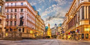 Choosing your neighborhood in Vienna