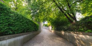 Cose da fare a Zurigo durante la settimana e nei weekend