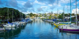 Les choses à faire en semaine à Auckland