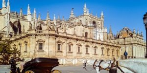 Qué hacer entre semana en Sevilla