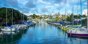 Qué hacer entre semana en Auckland