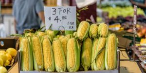 Adattarsi allo stile di vita di Melbourne