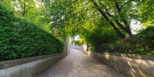 Qué hacer entre semana o el fin de semana en Zúrich