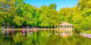 Actividades al aire libre y de interior en Dublín