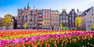 Working Holiday Visa para Holanda