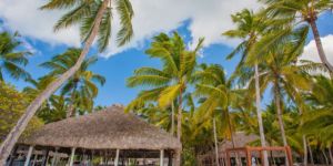 Trabajar en Santiago de los Caballeros 