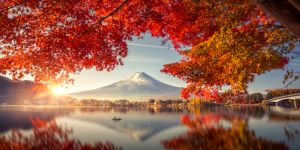 Permis Vacances Travail au Japon