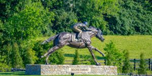 Deportes en Fráncfort