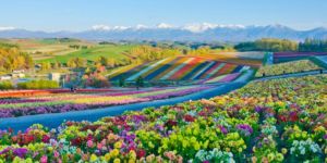 Trabajar en Hokkaido