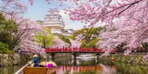 Hacer unas prácticas en Japón